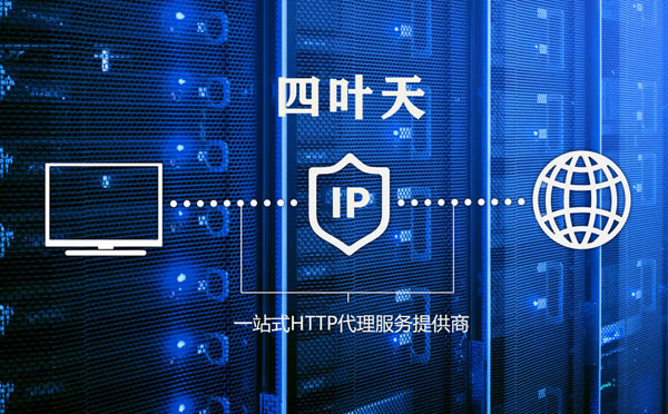 【汝州代理IP】代理IP的主要用途和使用注意事项